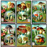 Vintage Mushroom Extract Label Mini Matchbox
