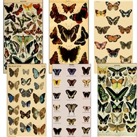 Vintage Butterfly Illustration Matchbox