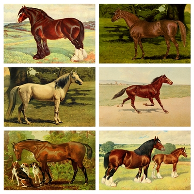 Vintage Horse Illustration Mini Matchbox