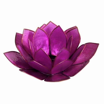 Violet Lotus Capiz Shell Tea Light Holder