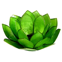 Green Lotus Capiz Shell Tea Light Holder