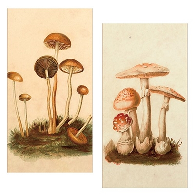 Vintage Mushrooms Matchbox