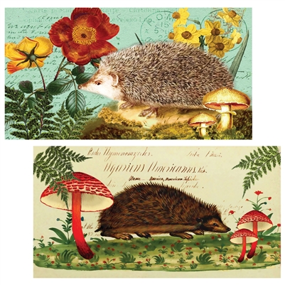 Henrietta Hedgehog Matchboxes