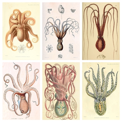Vintage Octopus Mini Matchbox