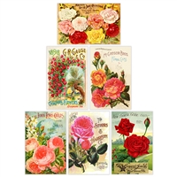Vintage Rose Catalog Mini Matchbox