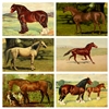 Vintage Horse Illustration Mini Matchbox