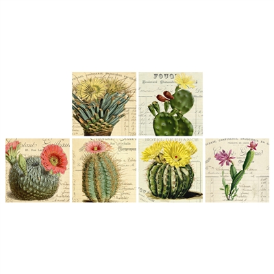 Vintage Cactus Square Matchbox