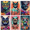 Cat Fantasy