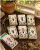 Tiny Potted Garden Mini Matchbox