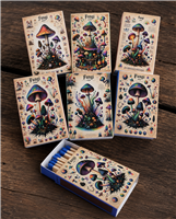 Funghi study matchbox collection Matchboxes