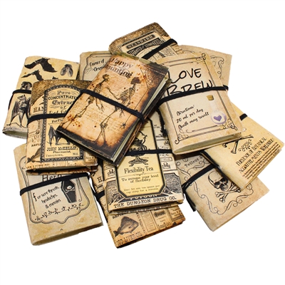 Lotions & Potions Mini Journals