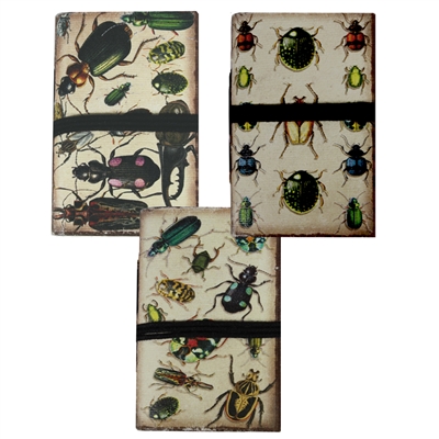 Vintage Bugs  Mini Paper Journal