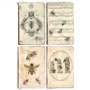 Old World Bee Journal