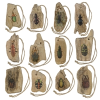Assorted Wood Beetle Ornaments