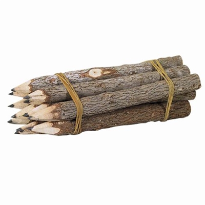 Branch Pencils
