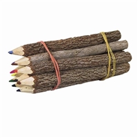Colored Branch Pencils