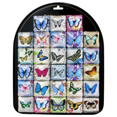 Butterfly Square Magnet Display
