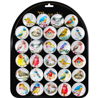Watercolor Birds Magnet