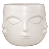 Multi-Faceted Planter Pot
