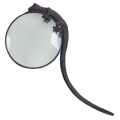 Gecko Magnifying Glass