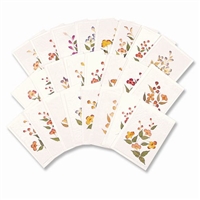 Note Cards Pressed Flowers