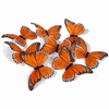 Monarch Butterfly Garland