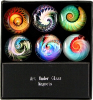 Nautilus Art Glass Magnets