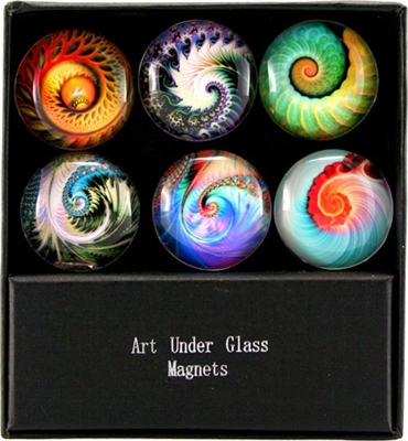 Nautilus Art Glass Magnets