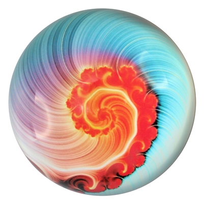 Nautilus Art Glass Paperweight Blue/Coral