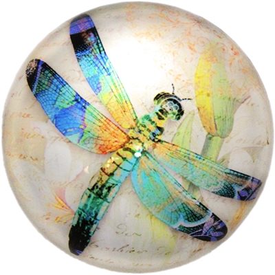 Dragonfly Glass Dome Paperweight