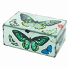 Butterfly Glass Box