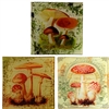 Vintage Mushroom Glass Trays