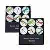 Glass Dragonfly Magnets Gift Set