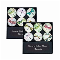 Glass Dragonfly Magnets Gift Set