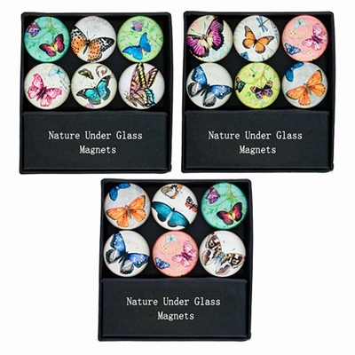 Glass Butterfly Magnets Gift Set