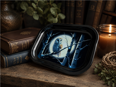Barn Owl Moon Flat Metal Tray