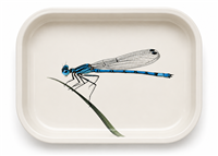 Blue Damselfly Metal Tray