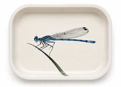 Blue Damselfly Metal Tray