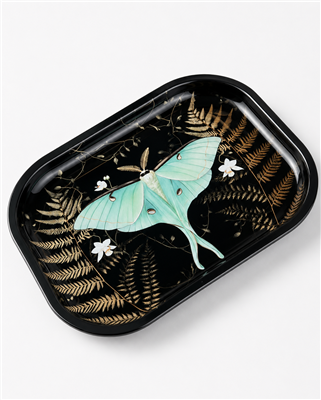 Luna Moth Ferns Metal Tray