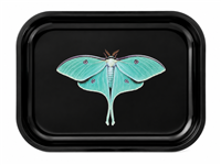 Luna Moth Solo Metal Tray