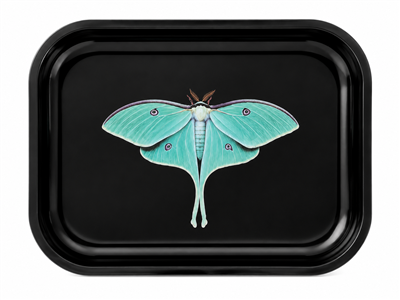 Luna Moth Solo Metal Tray