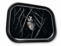 Owl Branches Flat Metal Tray