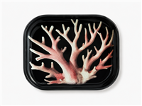 Peach Coral Metal Tray