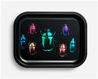 Irridescent Beetles 1 Metal Tray