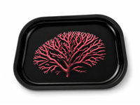 Red Coral Metal Tray