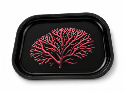 Red Coral Metal Tray