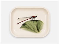 Red Damselfly Metal Tray