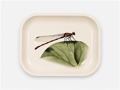 Red Damselfly Metal Tray
