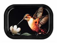 Rufous Hummingbird Metal Tray