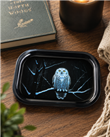 Snowy Owl Metal Tray